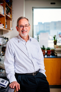 David M. Bedwell, PhD