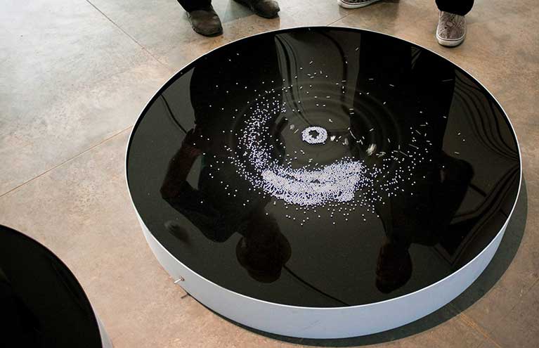 BFA Exhibition Spring 2014