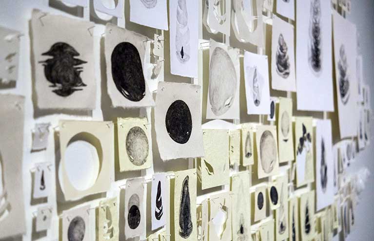 BFASpring2016 3 Thumb