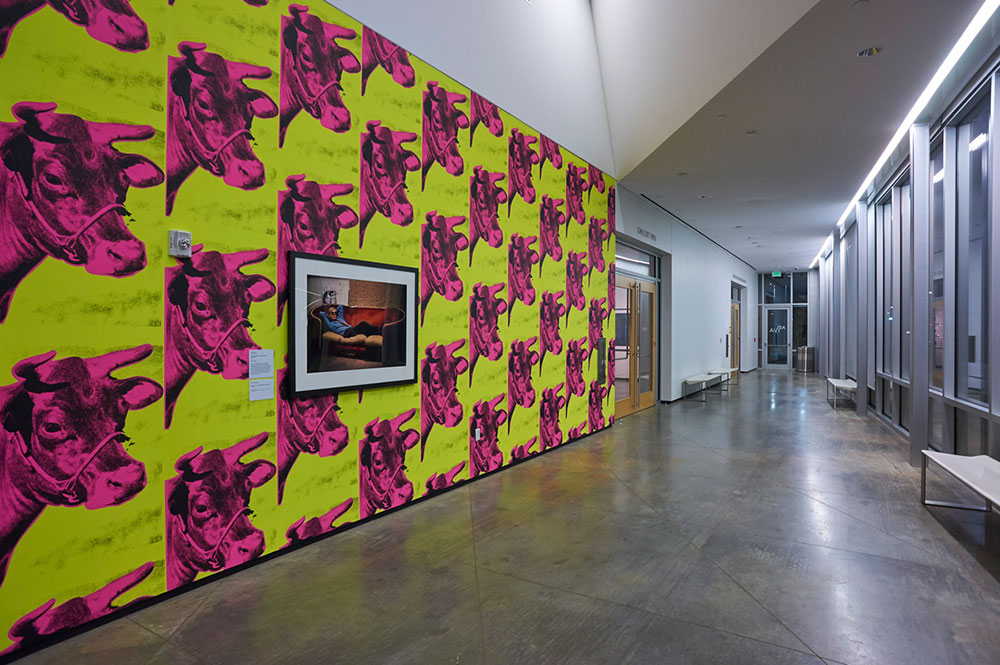 Fabricated installation, 2015