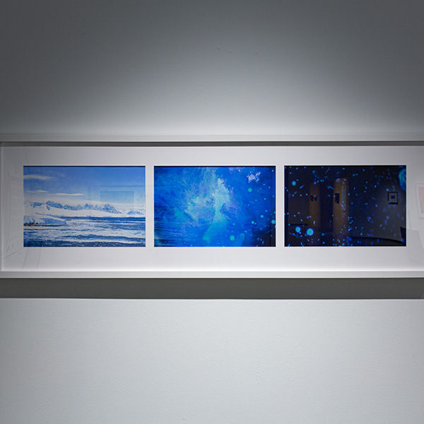 Allyson Comstock - Antarctica: A Disappearing Continent