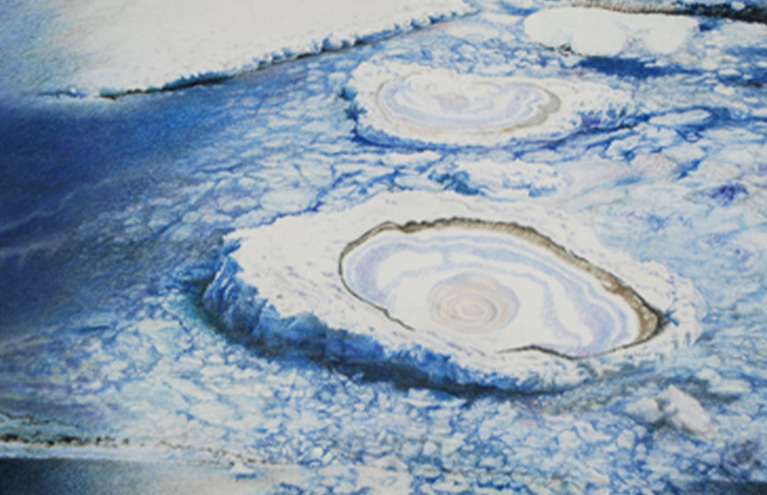 ALLYSON COMSTOCK: ANTARCTICA: A DISAPPEARING CONTINENT