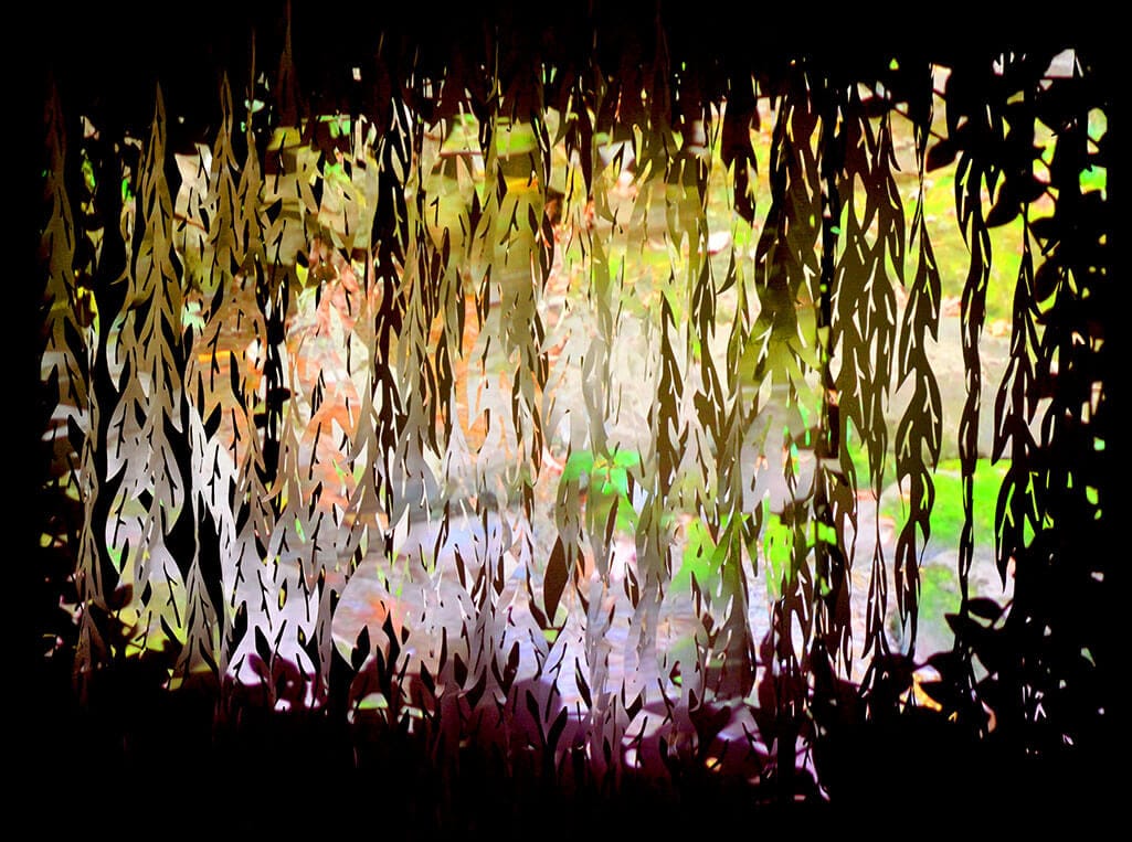 0036  2b Savowens 0298