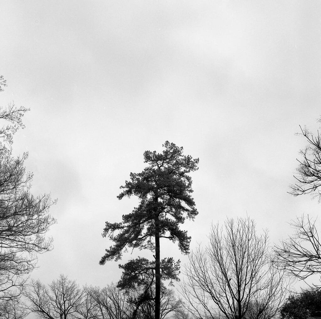 0040  Lunsford Devin 3 0145 0401