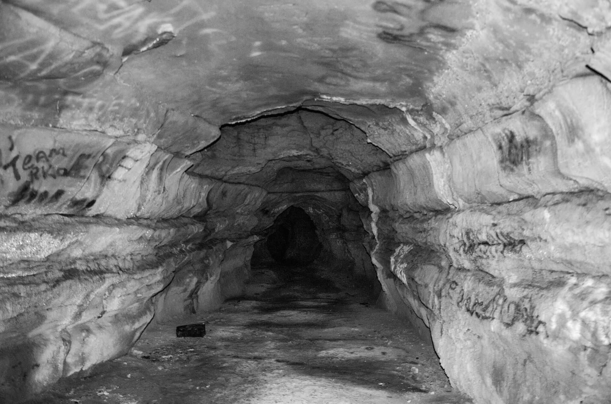 0048  3Guntersville Dam And Cave April 4 2015 376