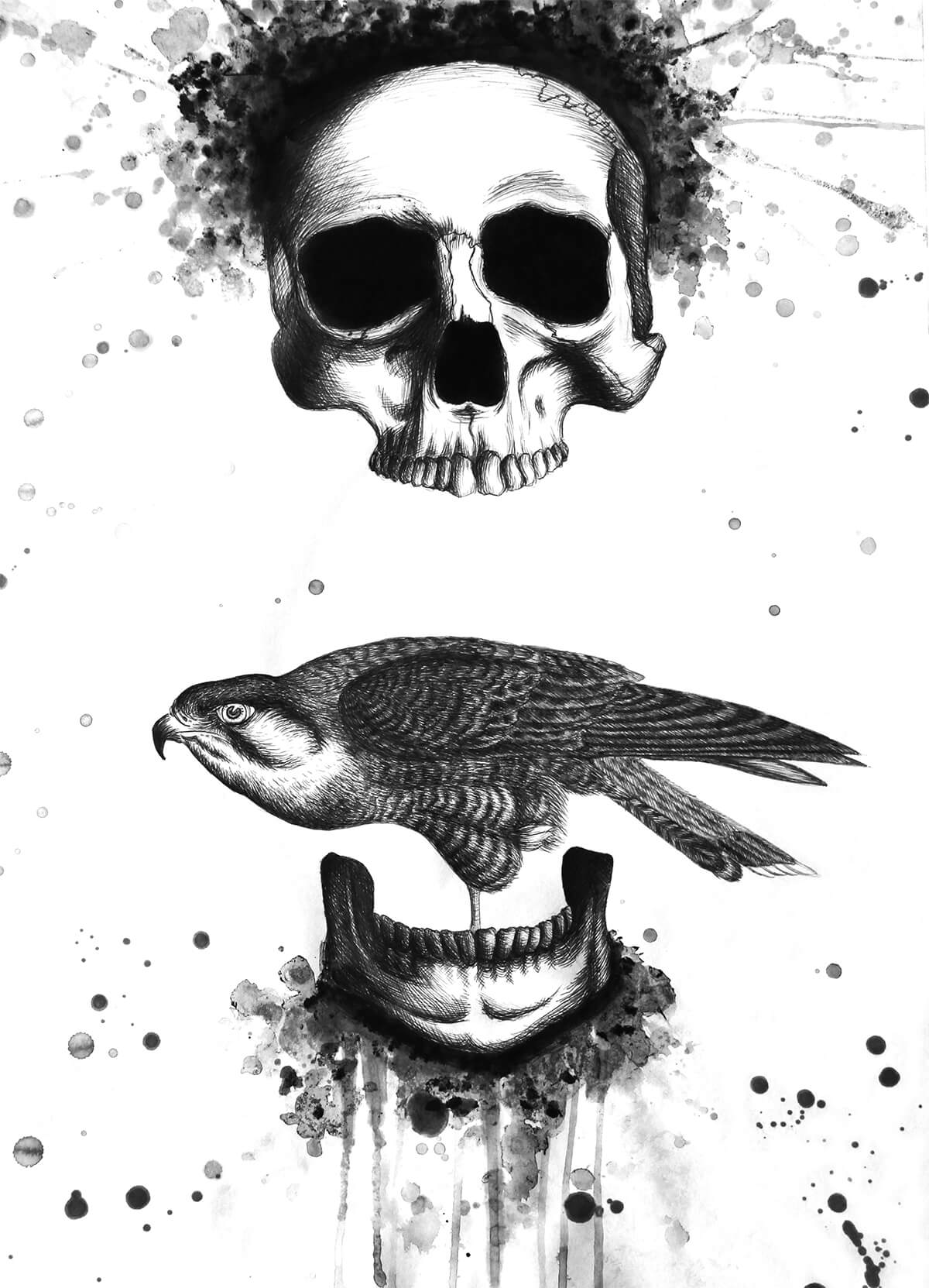 0101  Buwalda Mikala 13 0217