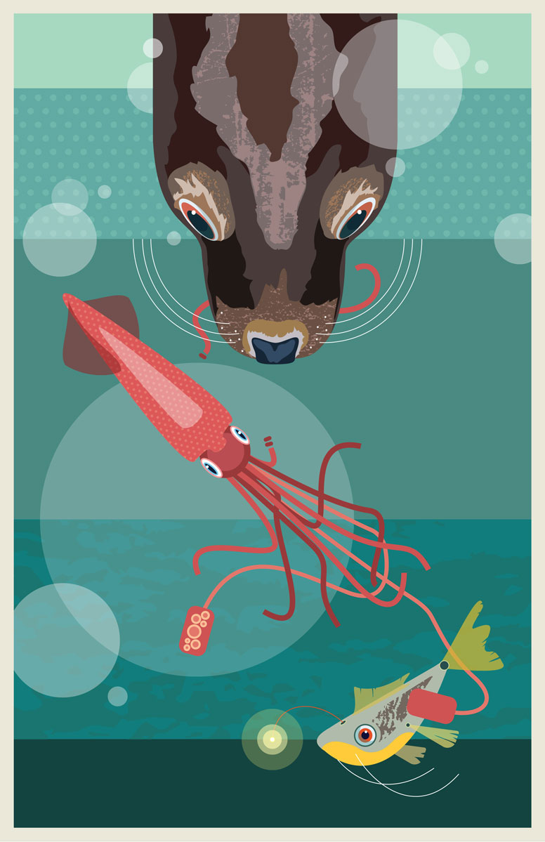 Matthew Davis "AnimalIllust" didgital imaging