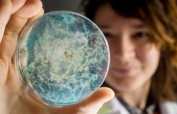 Student holding petri dish.