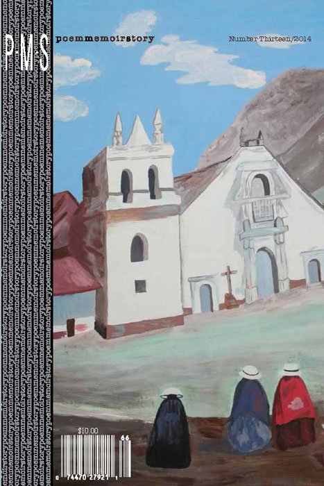 Cover of PMS 2014.