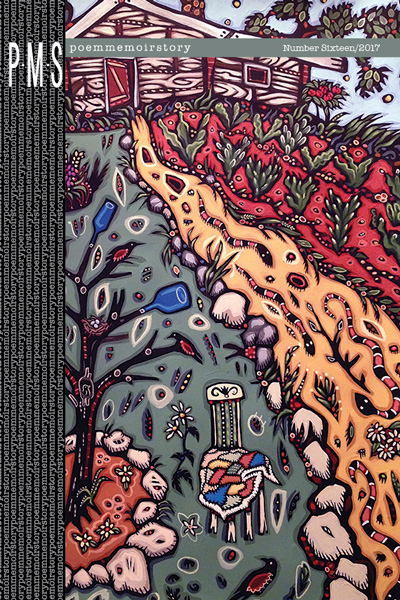 Cover depicting a rural house with a bottle tree, birds, snakes, crops, and chair with a quilt.