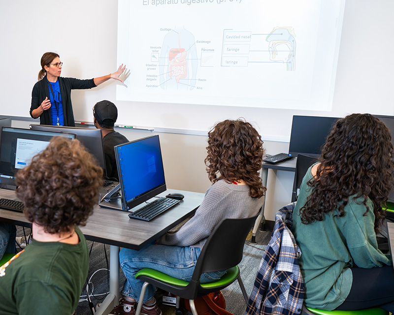 A professor teaching students in a classroom setting.