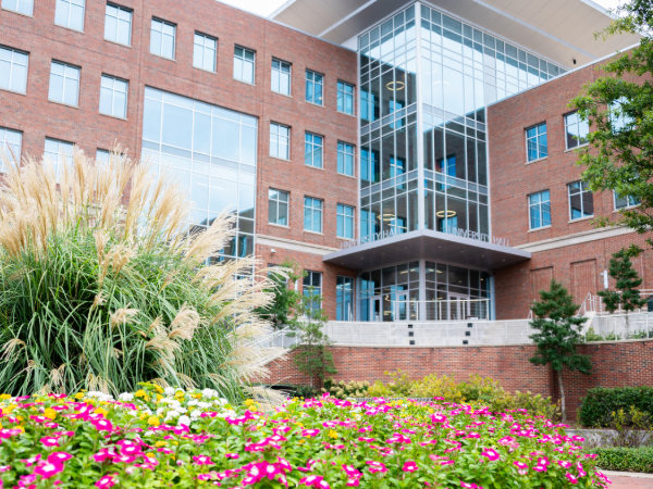 First Week of Classes, Fall 2025. Exterior of University Hall showing pink annual flowers and pampas grass in an ornmental flower bed in the foreground, August 2025.