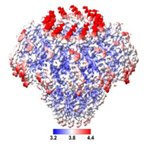 Cryo-EM Facility
