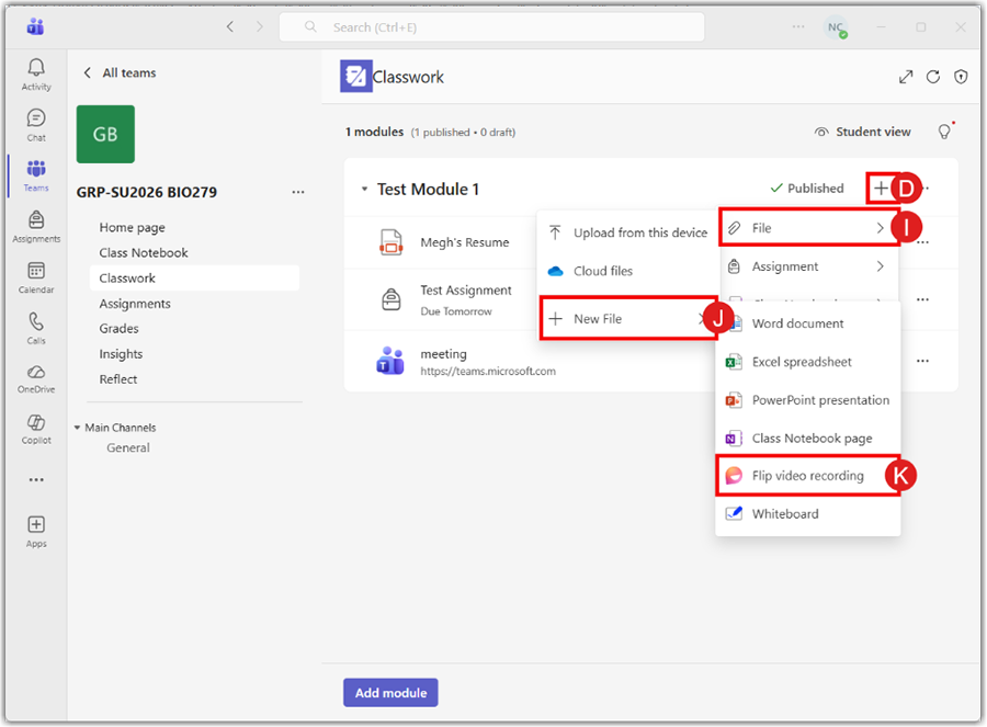 Create Flip video recording