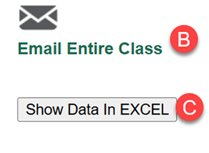 Show data in Excel option