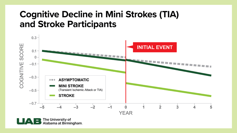 Cognitive Decline in Mini Stroke (TIA) and Stroke Participants Graph