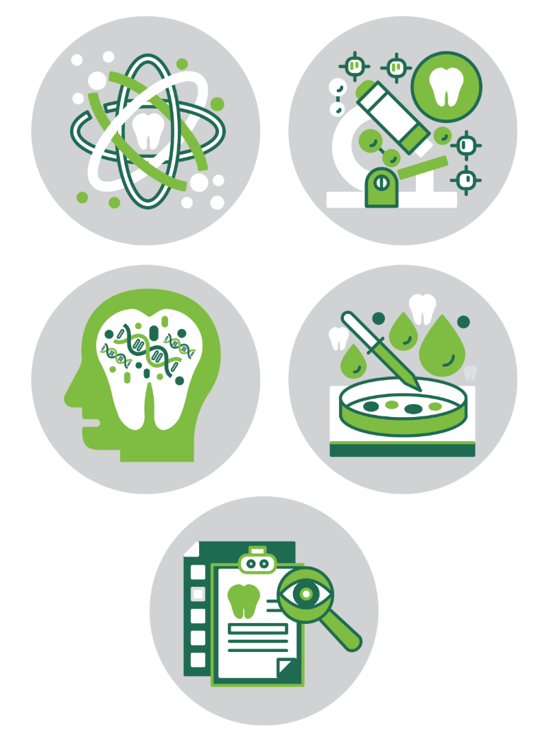 Research themes