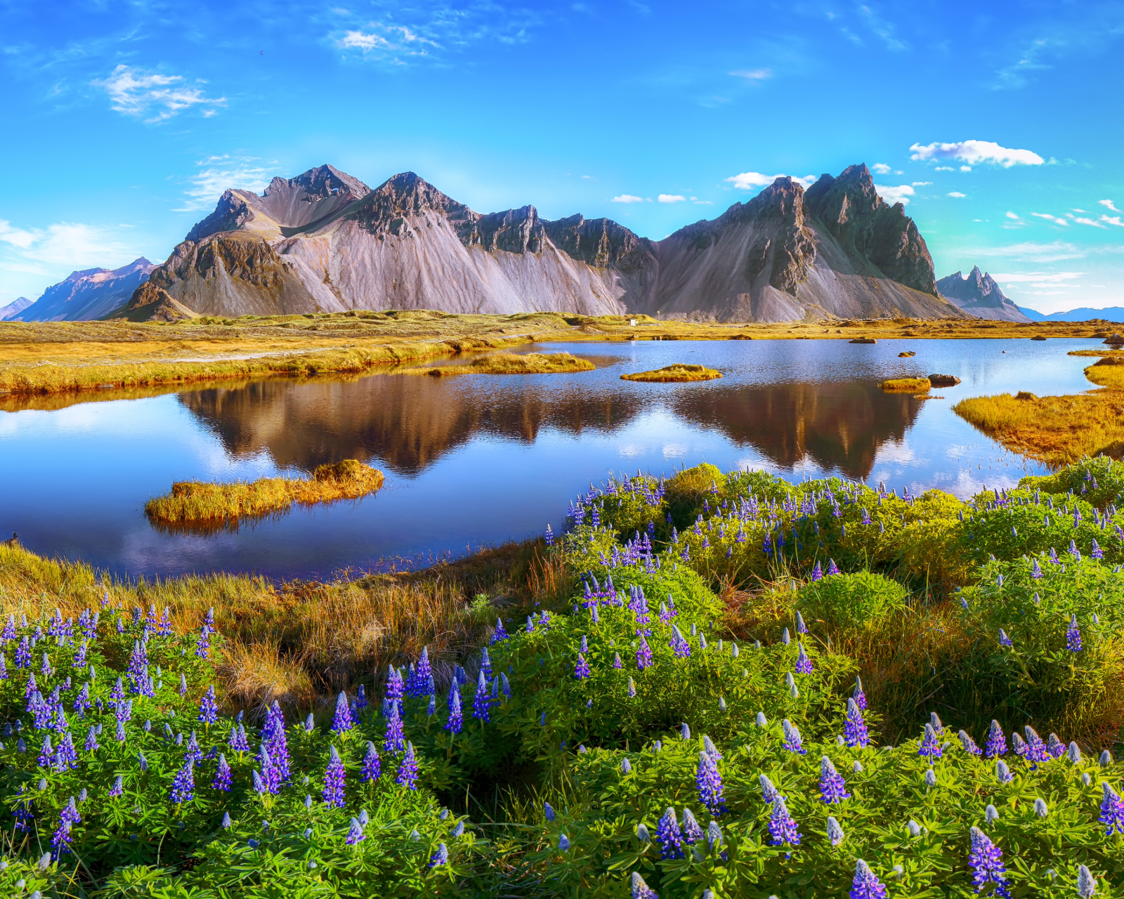 Continuing Education Travel Programs