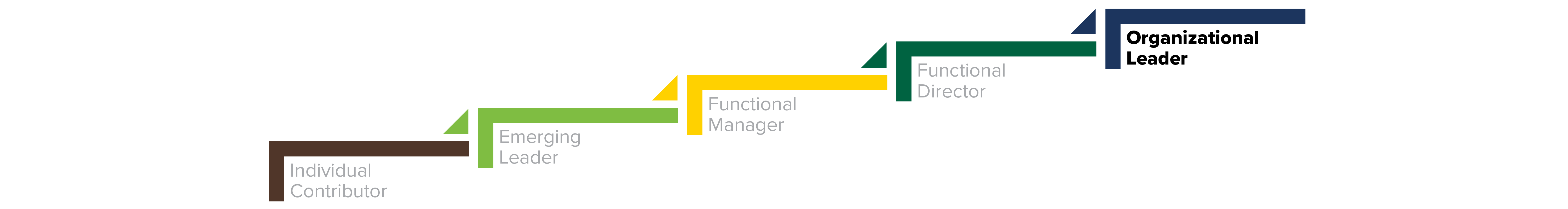 Organizational Leader