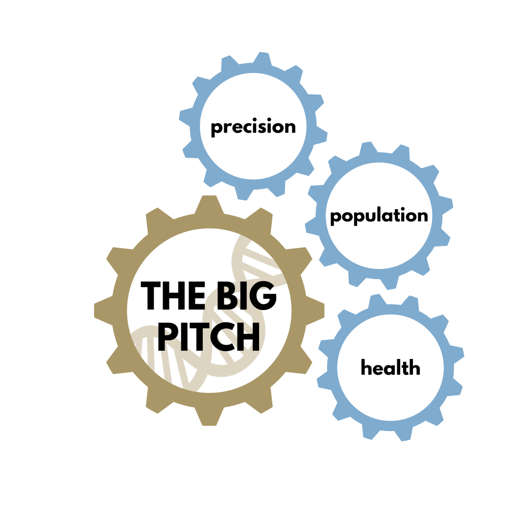 The BIG PITCH proposal logo