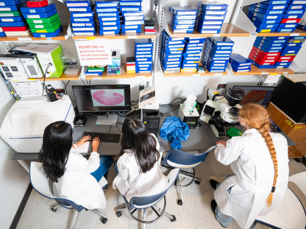 Students participate in research in a UAB lab.