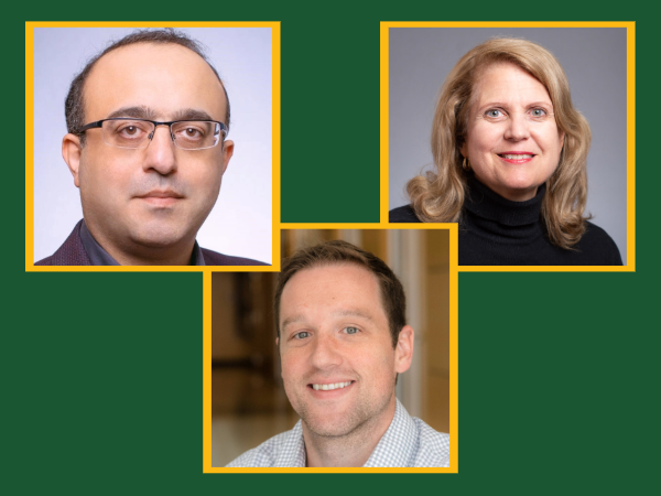 From left, S. Abdollah Mirbozorgi, Ph.D., Wendy Demark-Wahnefried, Ph.D., and Benjamin Larimer, Ph.D.