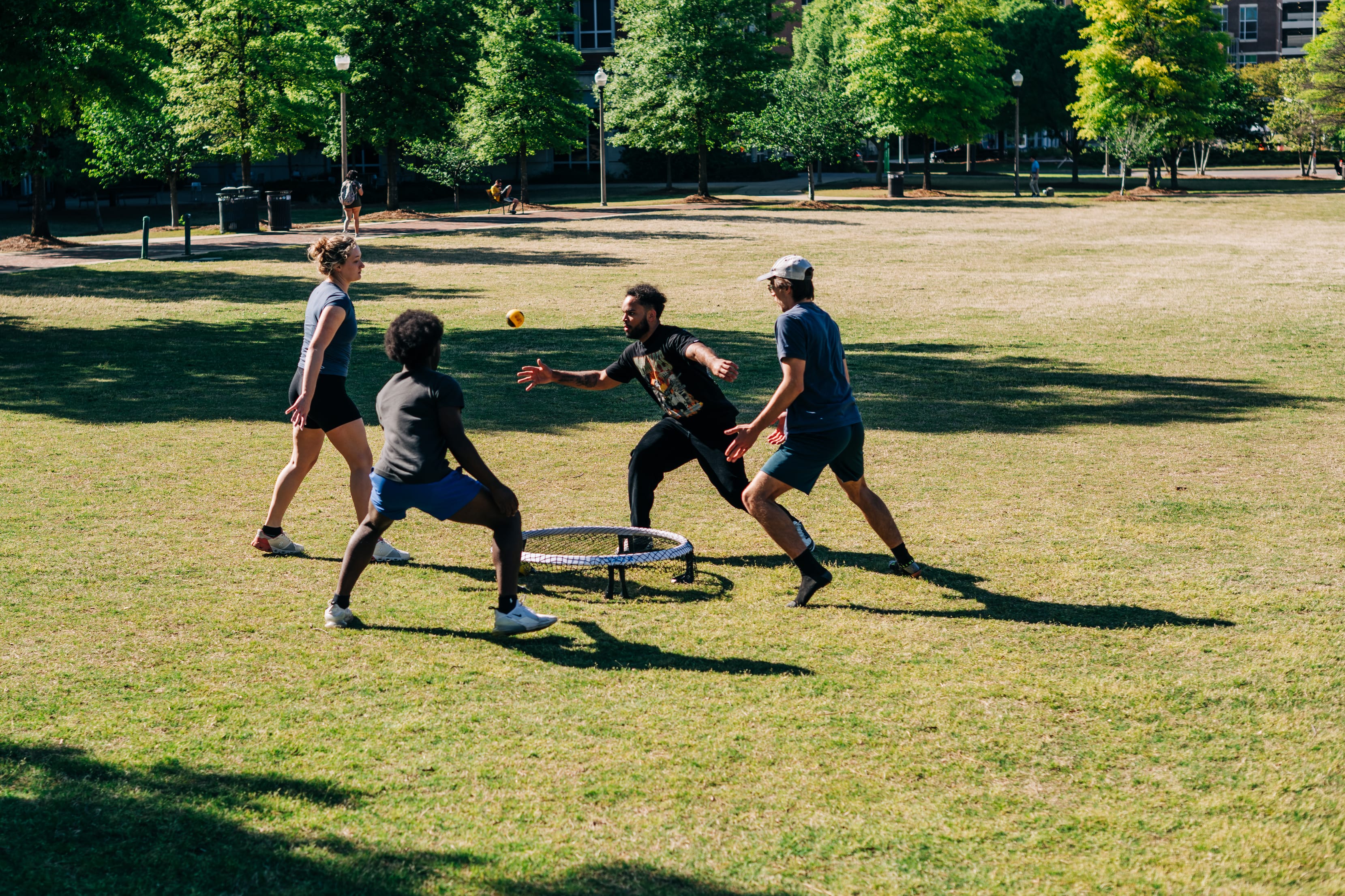 Athletics compliance report created through Switch Expert