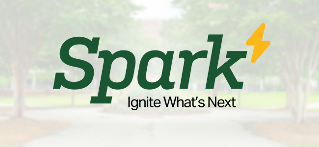 spark logo