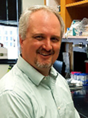 Placzek, William, Ph.D.