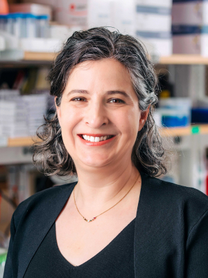 Mattheyses, Alexa, Ph.D.