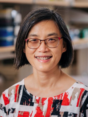 Chang, Chenbei, Ph.D.