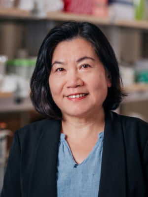 Qin, Hongwei, Ph.D.
