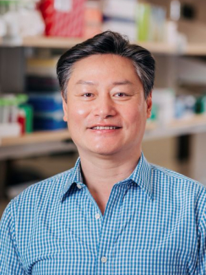 Wang, Jianbo, Ph.D.
