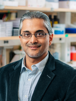 Saxena, Ankur, Ph.D.