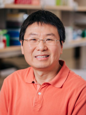 Lei, Xiaoyong, Ph.D.