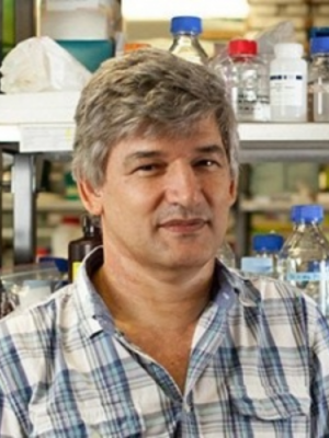 Steyn, Andries, Ph.D.