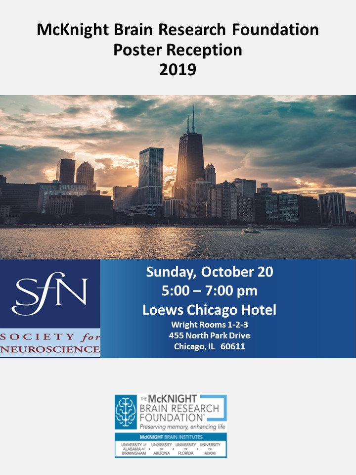 Flyer 102019