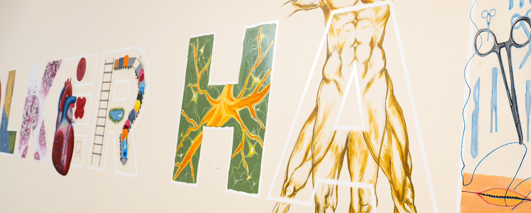 In 2025, medical students transformed a temporary construction wall at Volker Hall into a mural representing UAB Medicine and Birmingham. Nkengbeza painted the letters O and H.