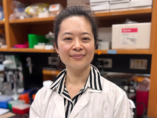 Huixian Hong, M.D., Ph.D.