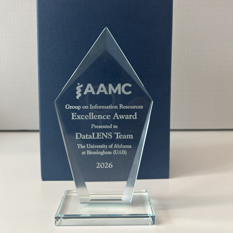 datalens-award-2.jpg