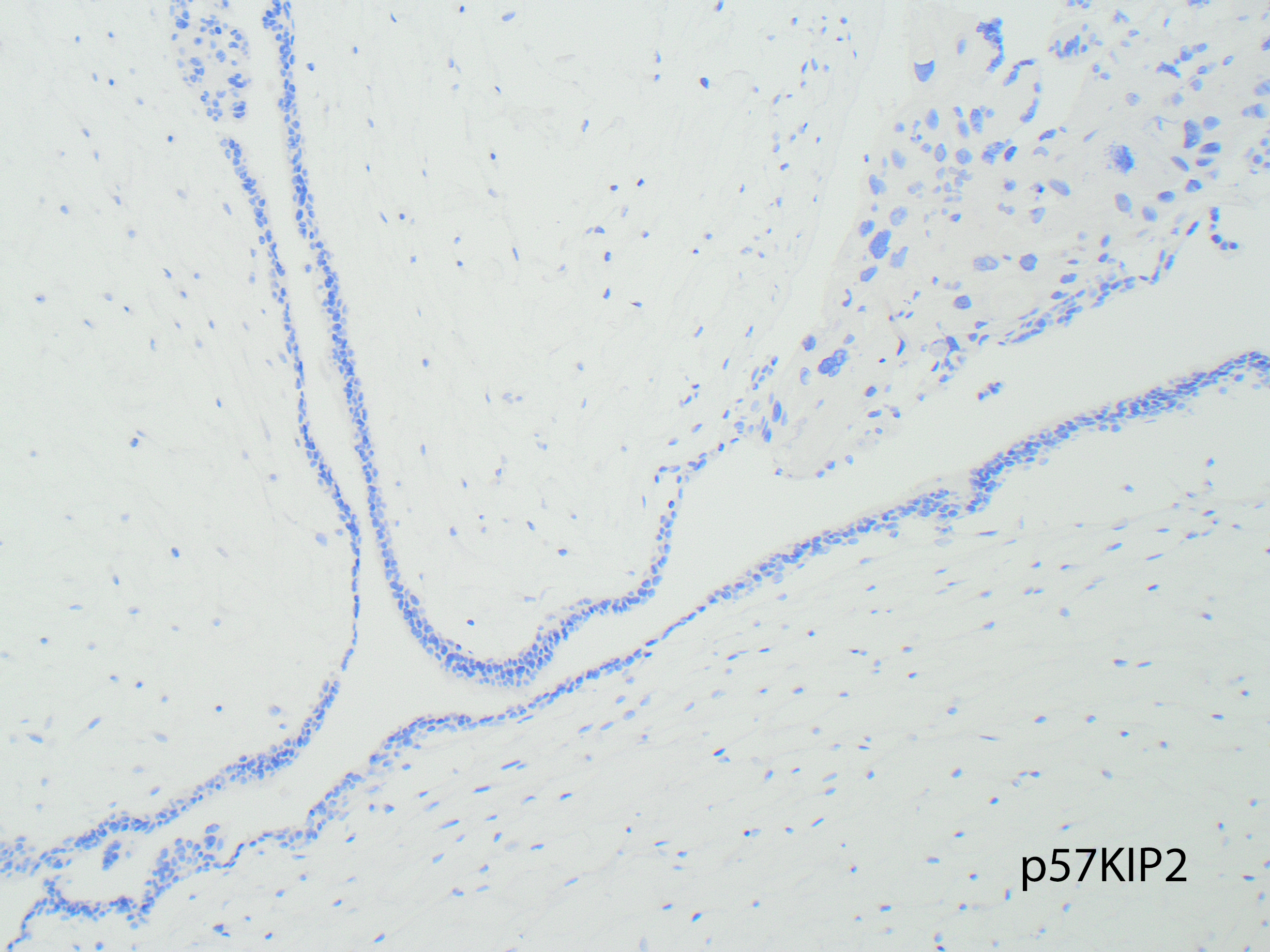 Question Photo 4