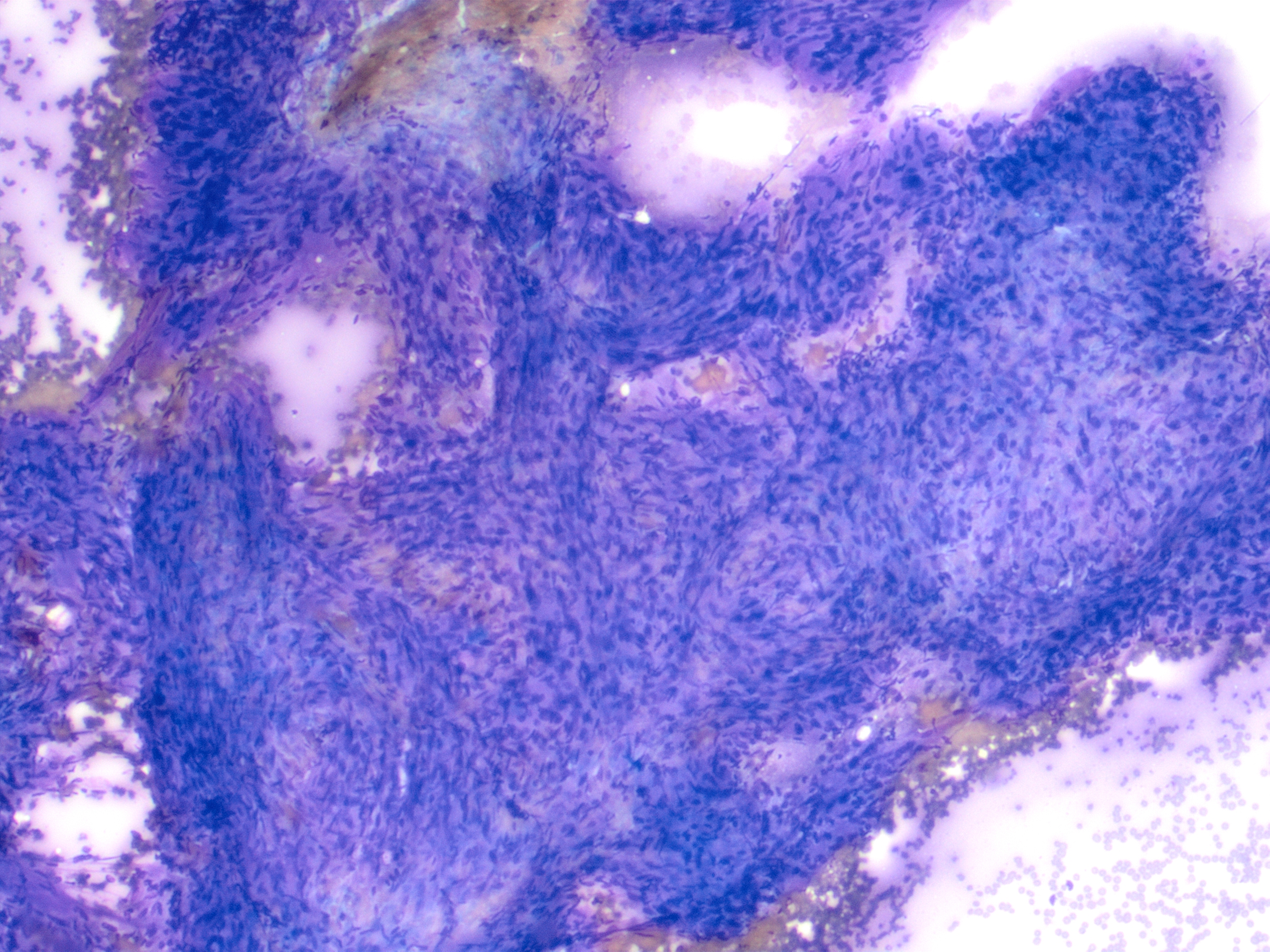 Cyto1