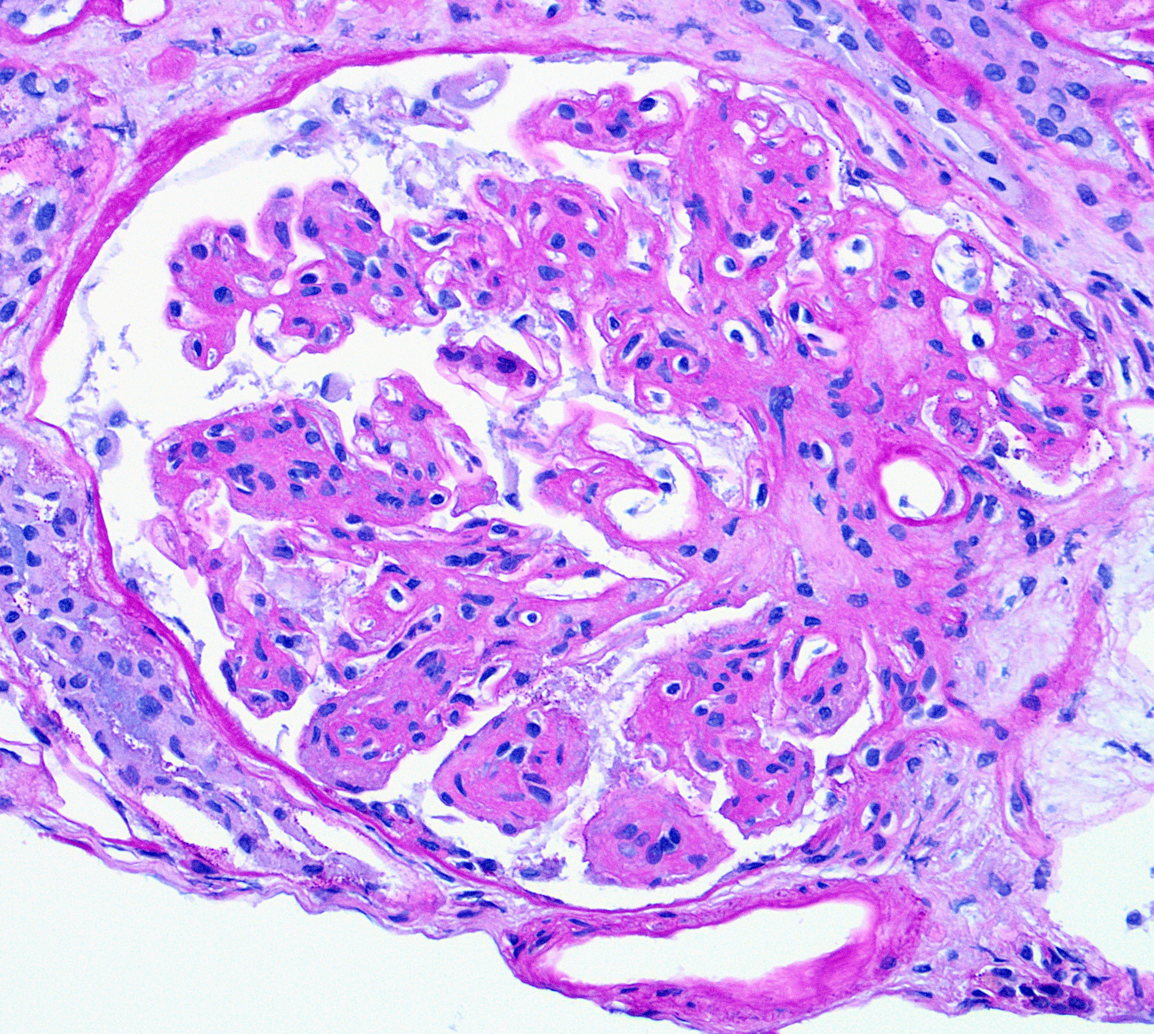 Fig a