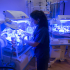 Regional Neonatal Intensive Care Unit & NICU at Children's of Alabama