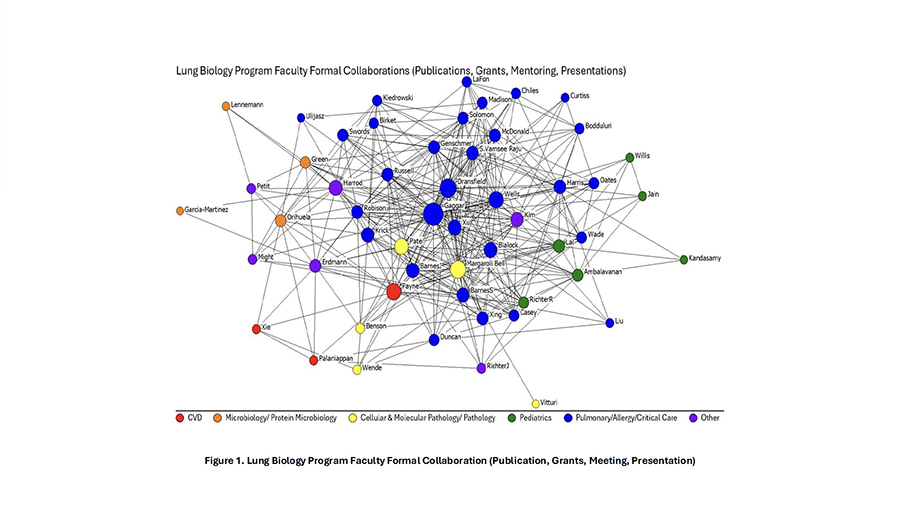 Figure 1. Lung Biology Program Faculty Formal Collaboration (Publication, Grants, Meeting, Presentation)