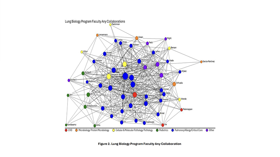 Figure 2. Lung Biology Program Faculty Any Collaboration