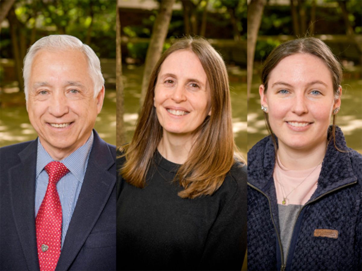 lung foam cell formation 01