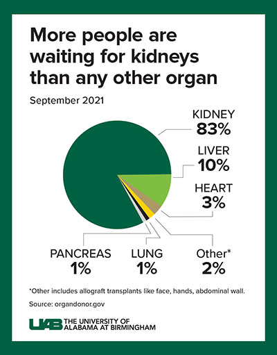 Graphic of a pie chart showing the percentage of organs recipients are needing.