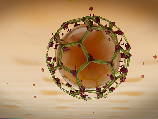 Clathrin stream