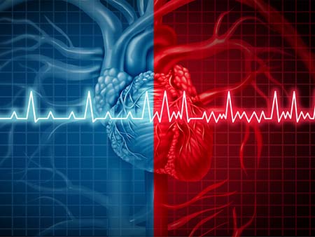 Atrial fibrillation and normal or abnormal heart rate rythm concept as a cardiac disorder as a human organ with healthy and unhealthy ecg monitoring in a 3D illustration style.
